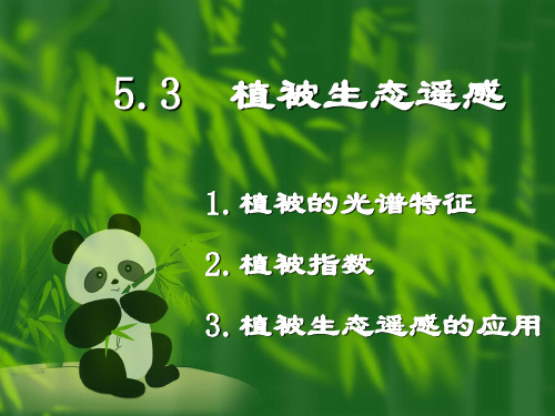 植被生态遥感