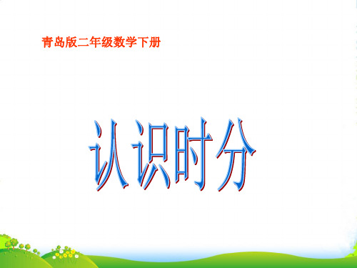 二年级数学下册 认识时分课件 青岛