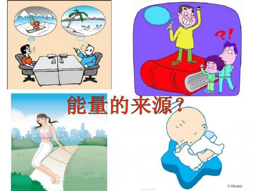 第13章线粒体
