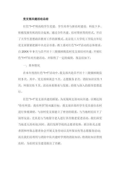 党支部共建活动总结