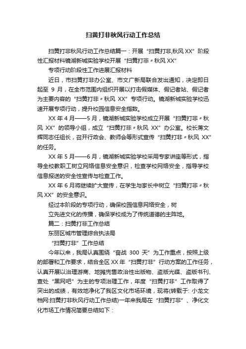 扫黄打非秋风行动工作总结