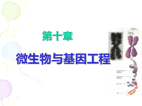 普通微生物微生物与基因工程