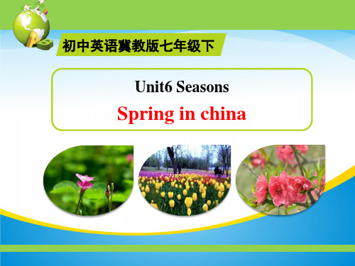 《Spring in china》Seasons PPT【精品推荐课件】