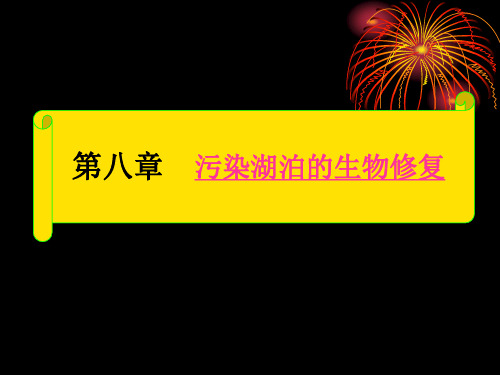 第八九章 污染湖泊的生物修复 污染环境生物修复工程