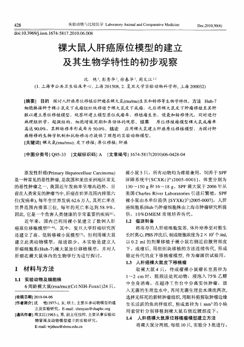 裸大鼠人肝癌原位模型的建立及其生物学特性的初步观察