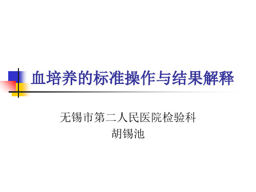 血培养的标准操作与结果解释
