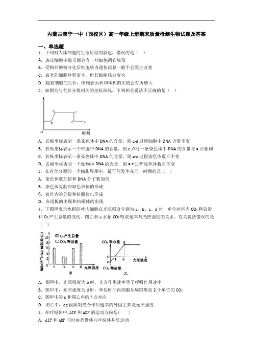 内蒙古集宁一中(西校区)高一年级上册期末质量检测生物试题及答案