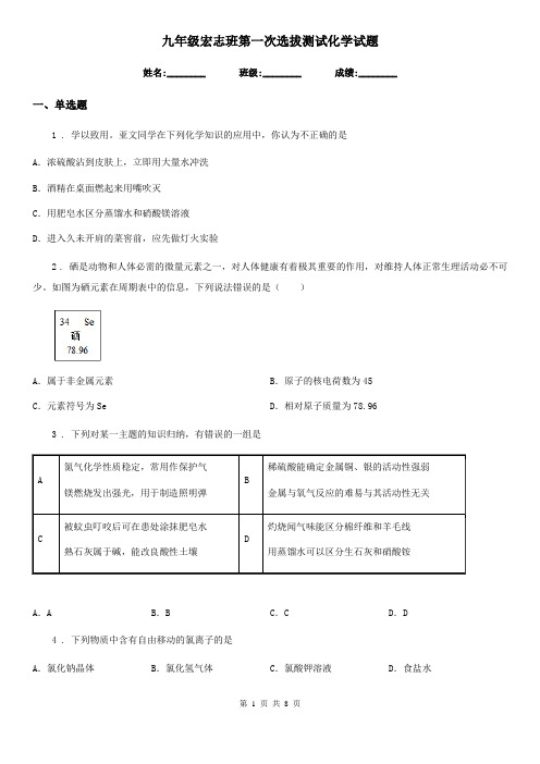 九年级宏志班第一次选拔测试化学试题