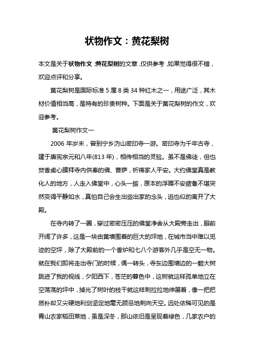 状物作文：黄花梨树
