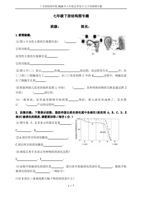广东碧桂园学校2018年八年级会考复习·七下结构图专题