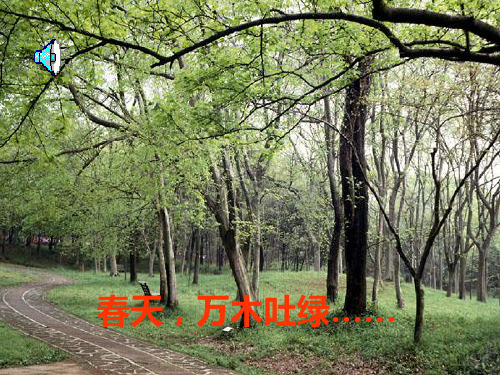 人教版一年级语文下册春晓PPT课件
