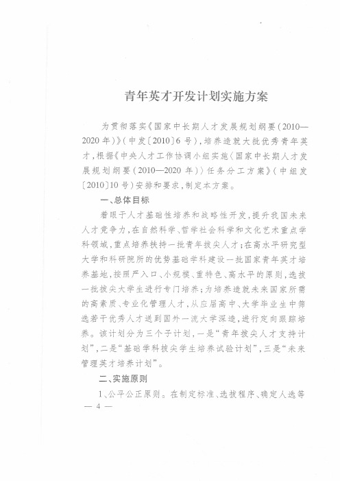 青年英才开发计划实施方案