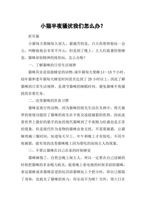 小猫半夜骚扰我们怎么办？