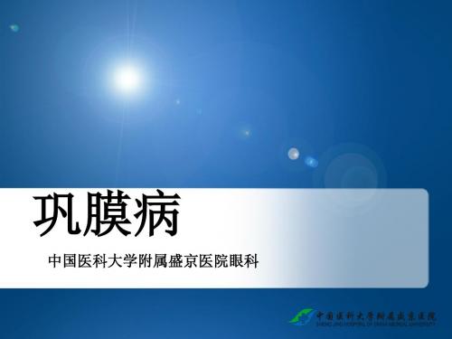 眼科学：巩膜病