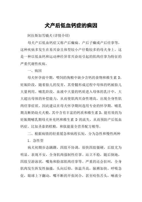 犬产后低血钙症的病因