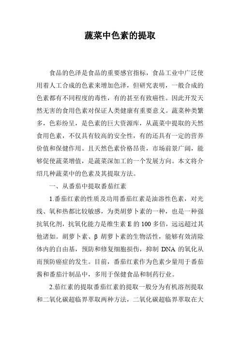 蔬菜中色素的提取