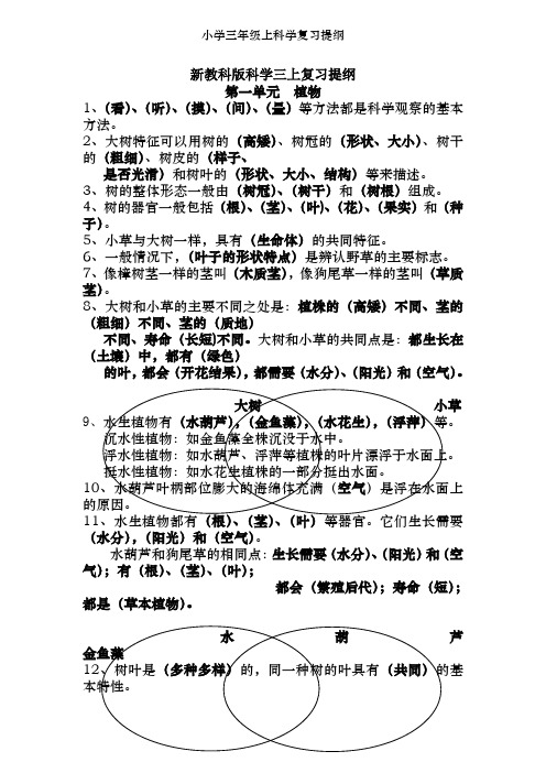小学三年级上科学复习提纲