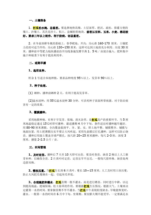 打瓜栽培管理要点