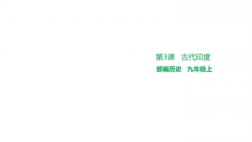 人教版历史九年级上册课件第3课古代印度 (共24张PPT)