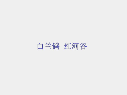 苏少版小学六年级音乐下册(简谱)白兰鸽  红河谷_课件1