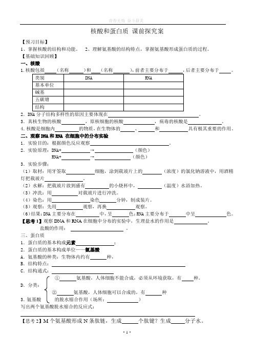 核酸和蛋白质教学案及答案讲解