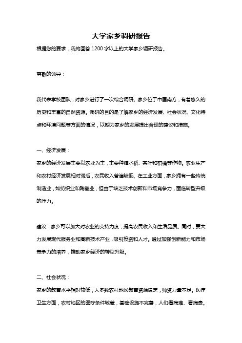 大学家乡调研报告