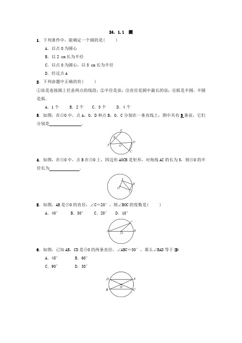 人教版数学九年级上册：24.1.1 圆  同步练习(附答案)