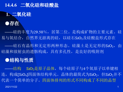 二氧化硅和硅酸盐 (2)
