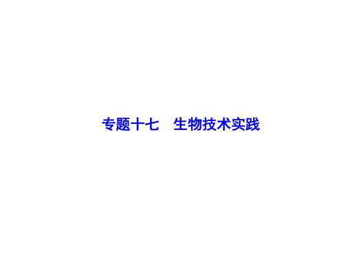 2018高考生物二轮复习课件：生物技术实践3 课件(全国通用)