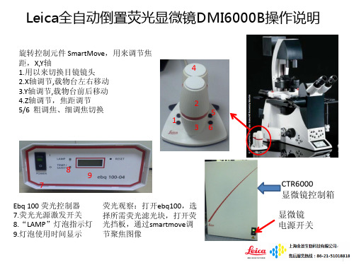 Leica全自动倒置荧光显微镜DMI6000B操作说明
