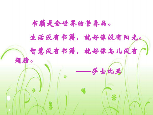 名著阅读《钢铁是怎样炼成的》