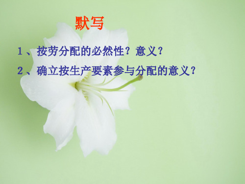经济生活兼顾效率与公平PPT教学课件