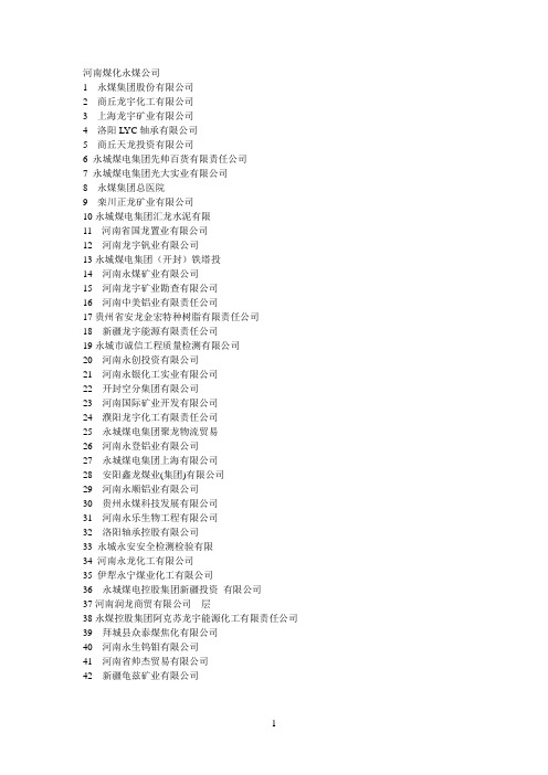 河南煤化永煤公司子公司
