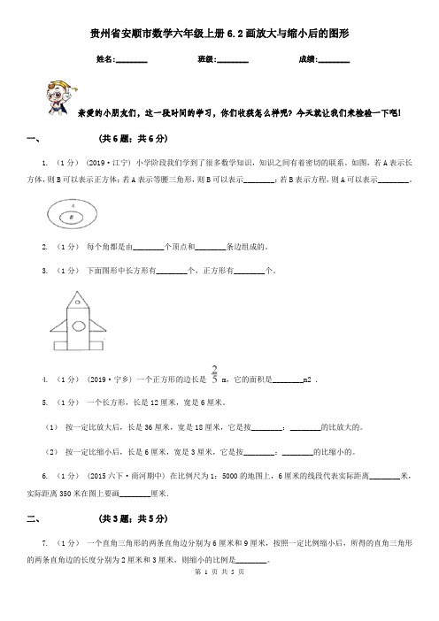 贵州省安顺市数学六年级上册6.2画放大与缩小后的图形