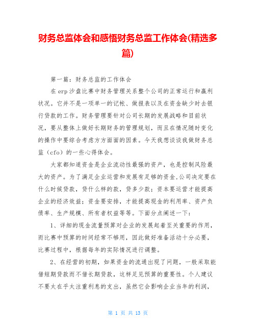 财务总监体会和感悟财务总监工作体会(精选多篇)