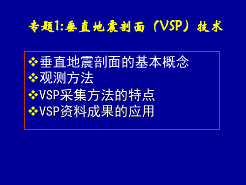 VSP(文字部分)
