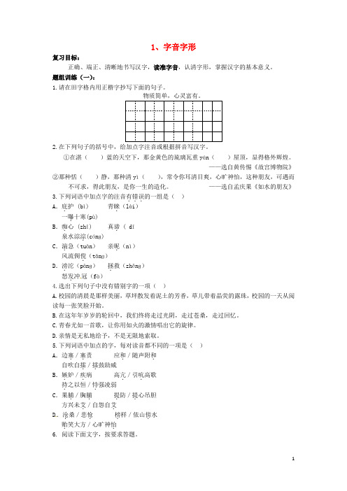 山西省阳泉市中考语文复习 专题一 积累与运用 1 字音字形