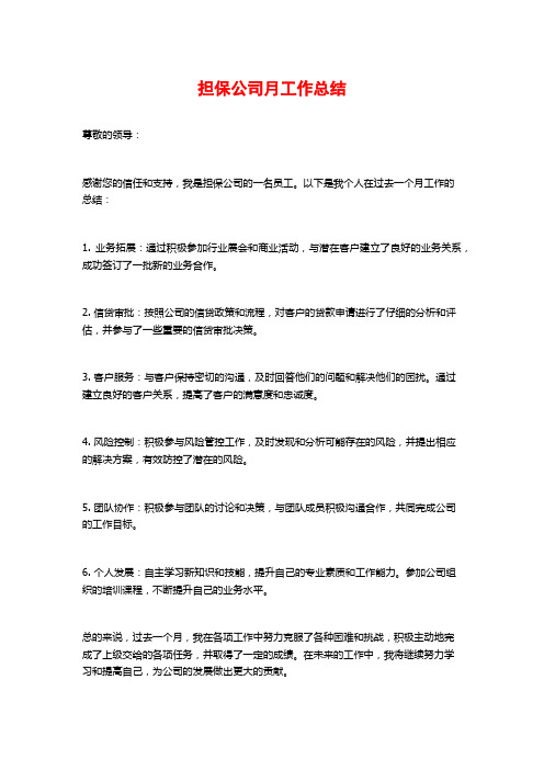 担保公司月工作总结