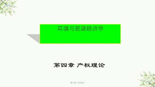 第六章 产权理论