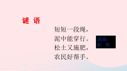 三年级科学上册2.4《蚯蚓》课件(6)教科版
