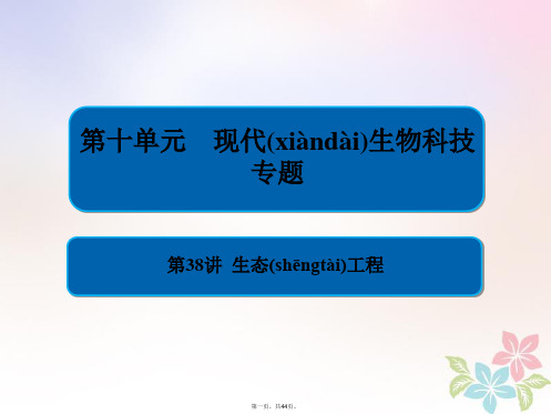 全国版高考生物一轮复习第38讲生态工程课件