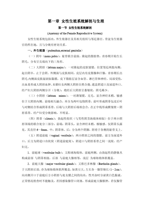 妇产科护理学_课程课件_1.女性生殖系统解剖与生理MICROSOFTWORD文档