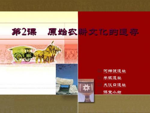 原始农耕文化的遗存精选教学PPT2 川教版