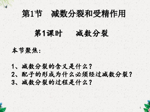 第1节   减数分裂和受精作用  54PPT