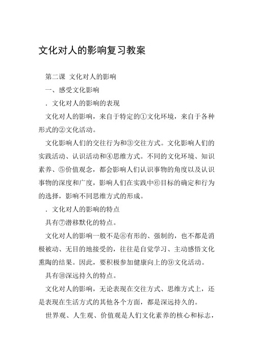 文化对人的影响复习教案