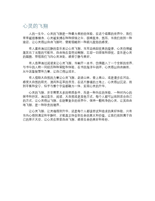 心灵的飞翔