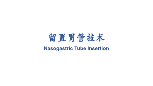 留置胃管技术 ppt课件