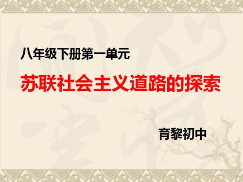 苏联社会主义道路的探索复习课件