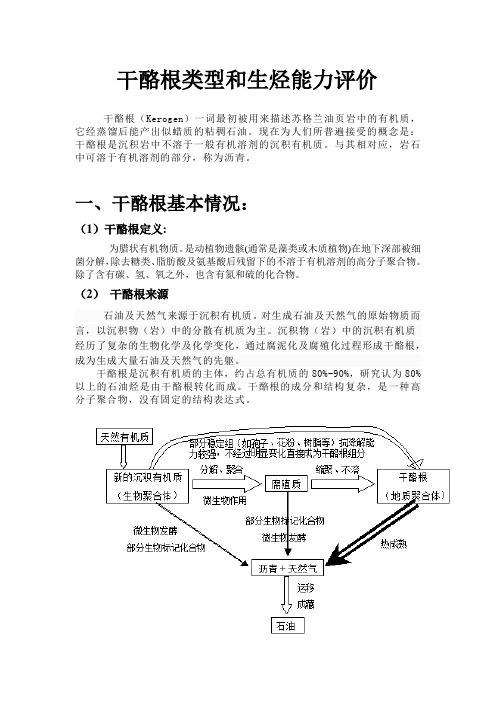 干酪根类型和生烃能力评价