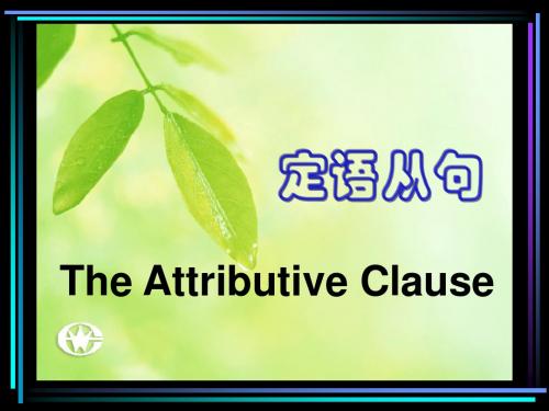 定语从句-举例生动详细(大量例题)